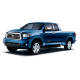 TUNDRA